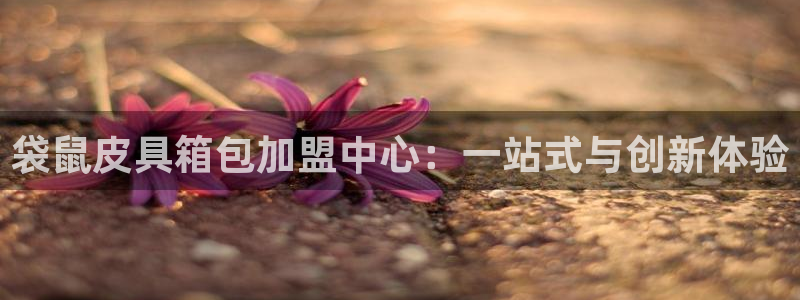 琳琅娱乐平台注册