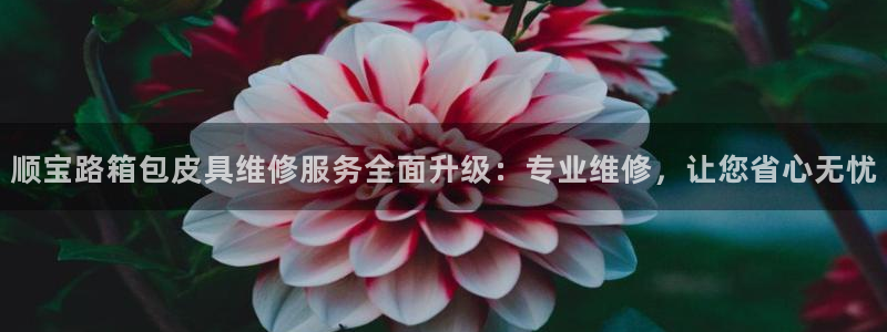 qq琳琅科技娱乐机器人