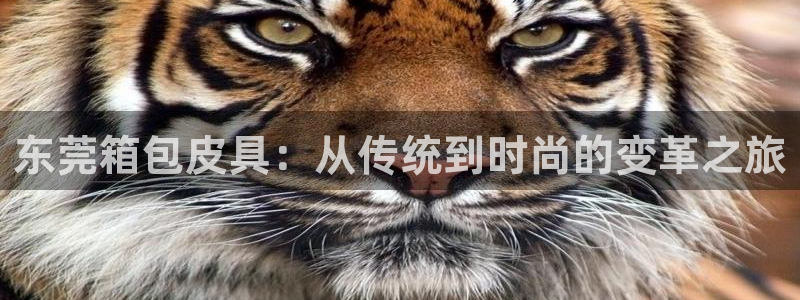 娱乐从琳琅榜开始