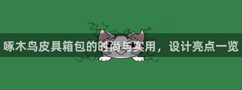 琳琅娱乐注册资金多少钱