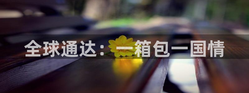 琳琅科技娱乐机器人