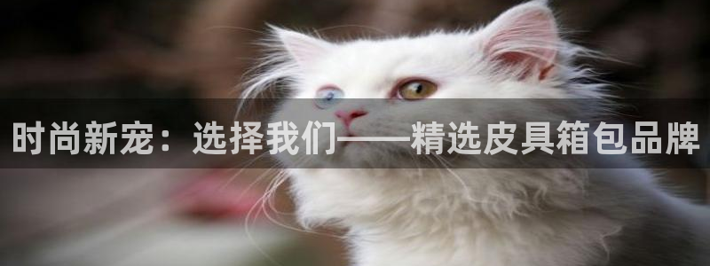 琳琅娱乐工作室招聘信息