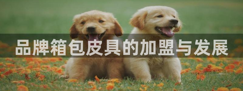 琳琅娱乐信誉33300