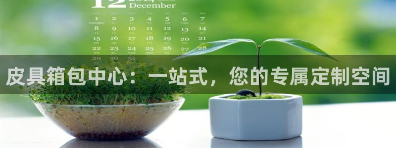 娱乐从琳琅榜开始